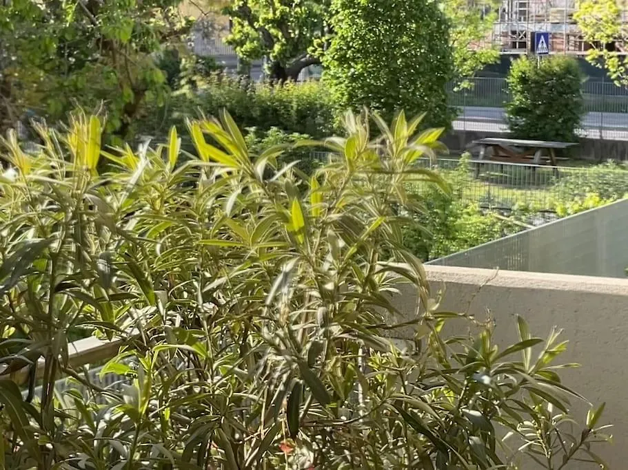 Elegant Relax Suite Near Veron Center Fair Lake Garda Verona Apartmán